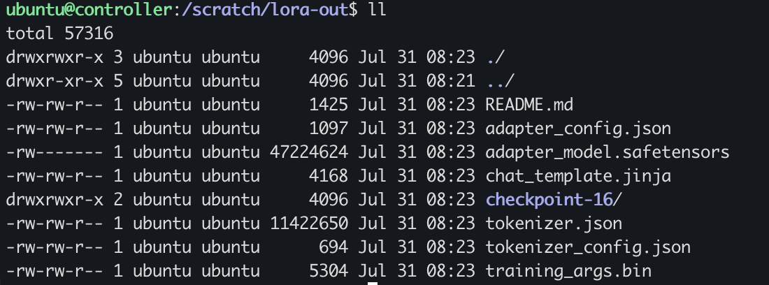 Contents of /scratch/lora-out after the run